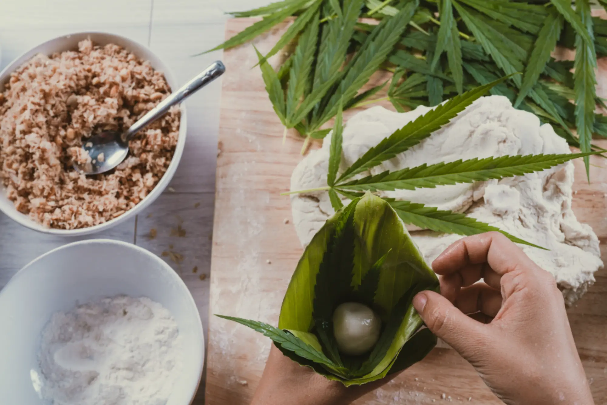 10023 alimentation cbd