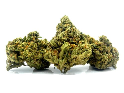 amnesia