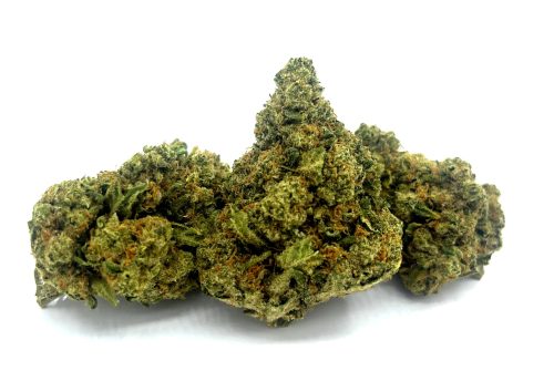 amnesia
