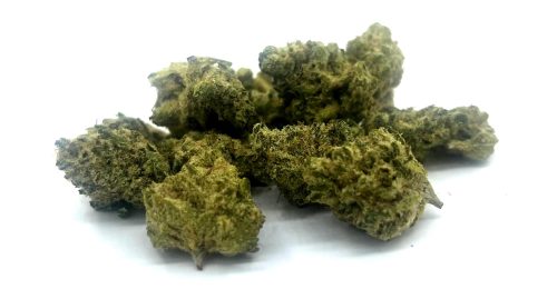 Mini Blue Dream