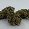 JackH1 Jack Herer