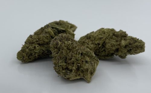 JackH1 Jack Herer