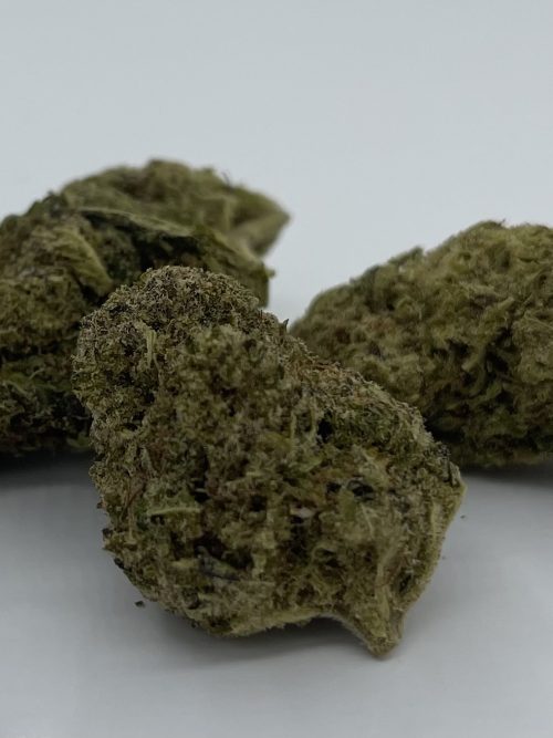 JackH1 Jack Herer