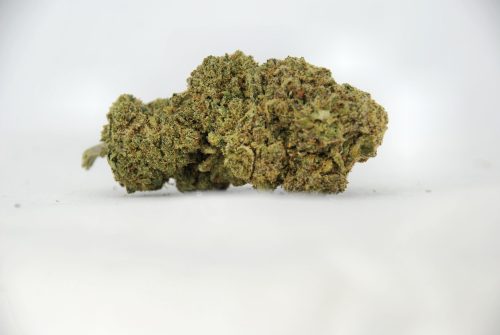 big bud