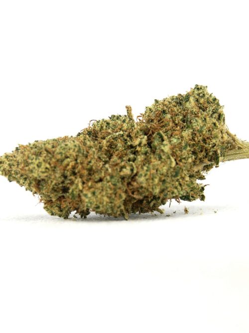 Mela Sour