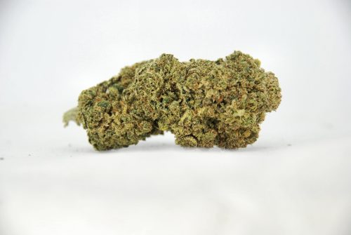 big bud