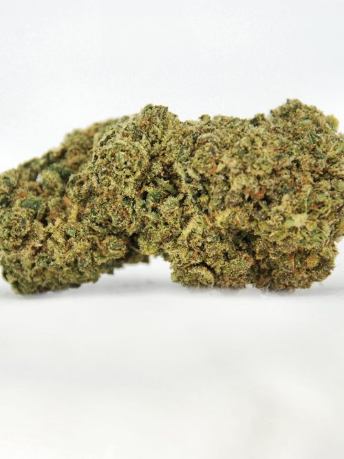 big bud