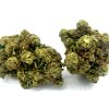 White Widow