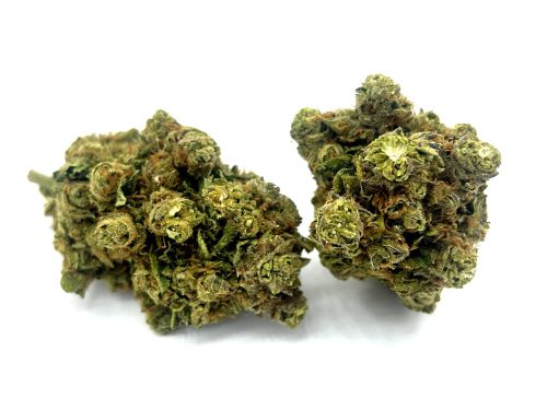 White Widow