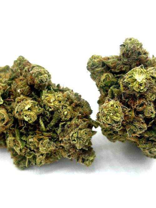 WW1_enhanced White Widow