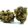 White Widow