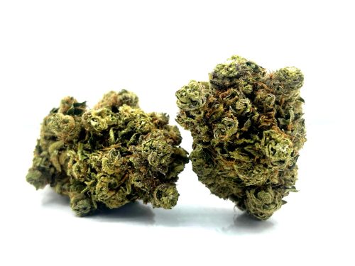 White Widow