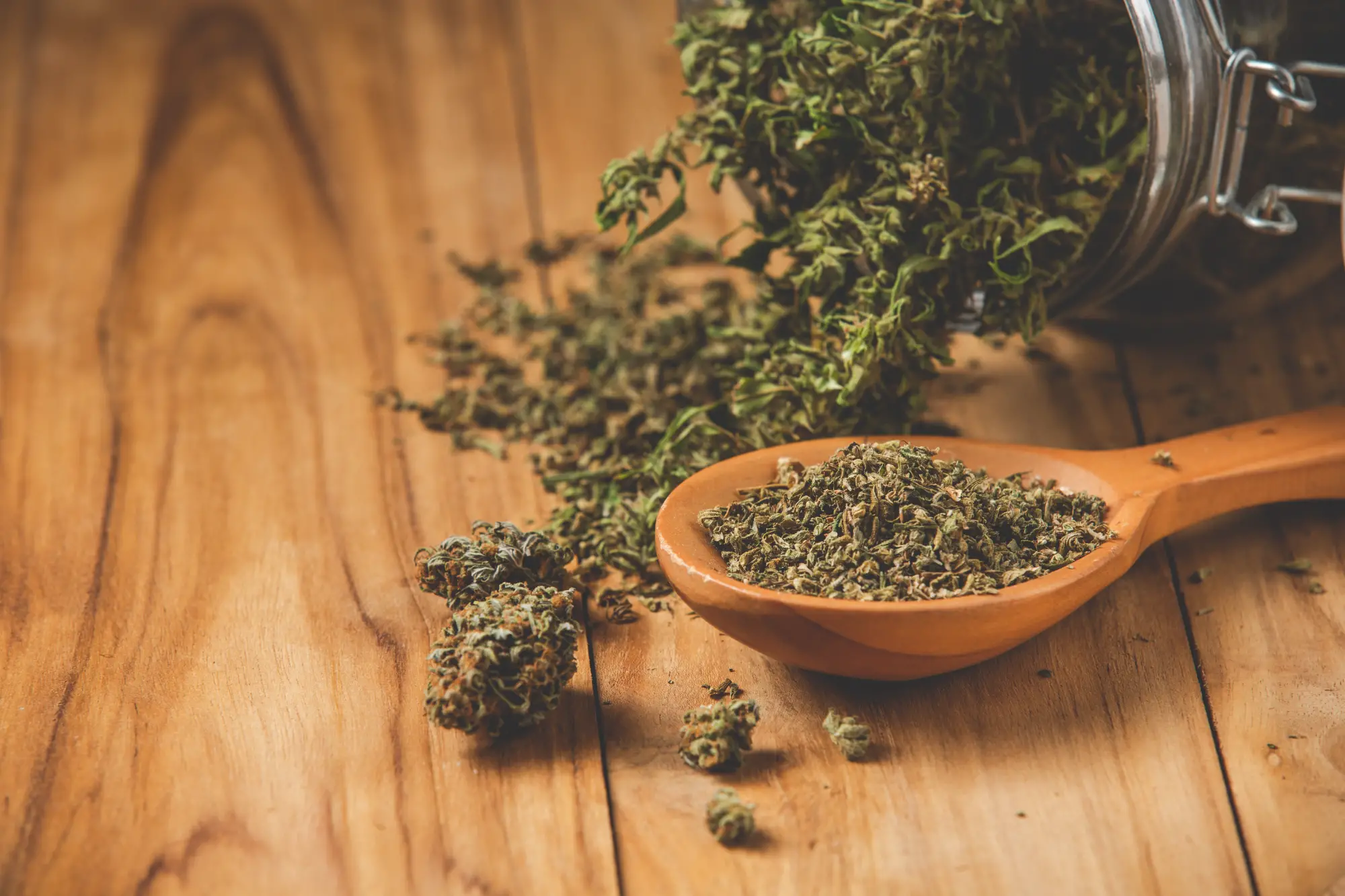 marijuana-plants-that-are-legally-planted-wooden-floors résine cbd